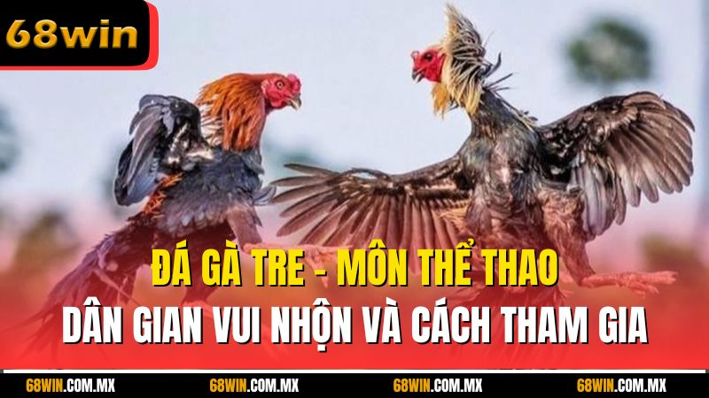 Đá Gà Tre - Môn Thể Thao Dân Gian Vui Nhộn Và Cách Tham Gia