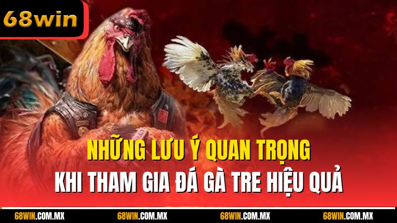Những lưu ý quan trọng khi tham gia đá gà tre hiệu quả