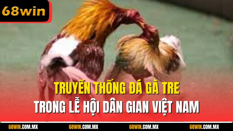 Truyền thống đá gà tre trong lễ hội dân gian Việt Nam