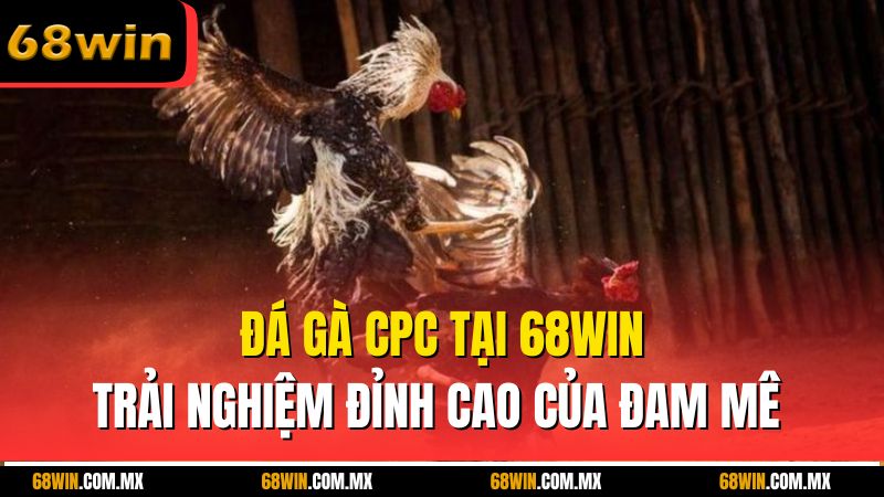 Đá Gà CPC Tại 68win – Trải Nghiệm Đỉnh Cao Của Đam Mê