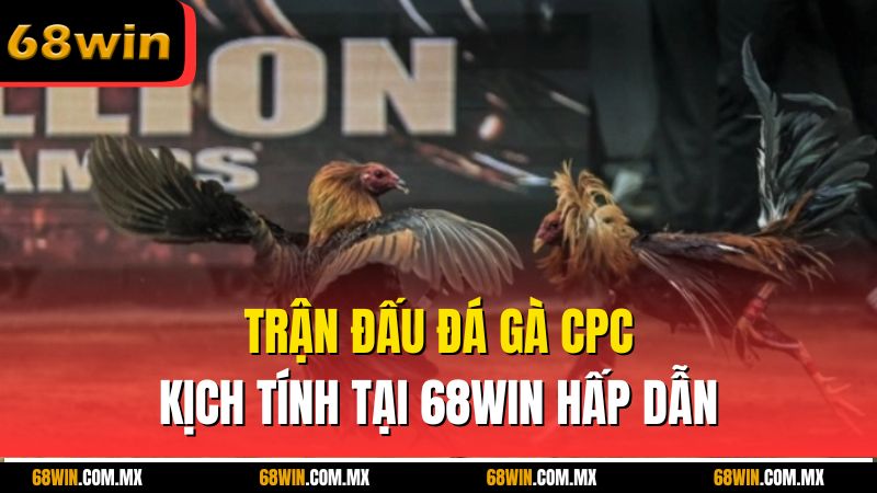Trận đấu đá gà CPC kịch tính tại 68win hấp dẫn