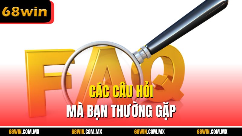 Các câu hỏi mà bạn thường gặp