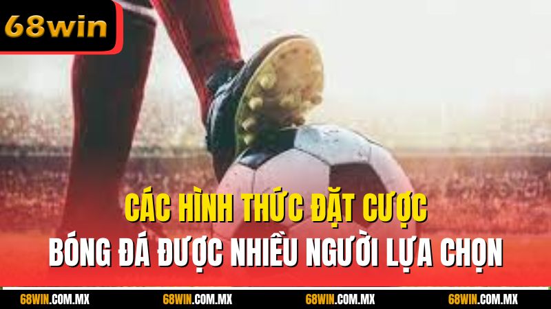Các hình thức đặt cược bóng đá được nhiều người lựa chọn