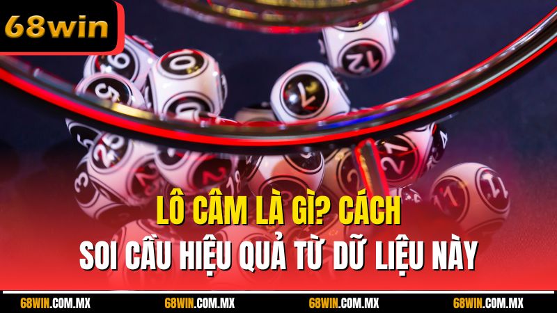 Lô Câm Là Gì? Cách Soi Cầu Hiệu Quả Từ Dữ Liệu Này